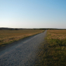 DSCN2317