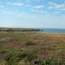 Quiberon