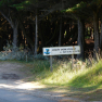 Forêt domaniale de Quiberon