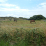DSCN2436