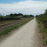 DSCN2442