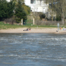Plage de Savonnières