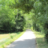 La piste cyclable