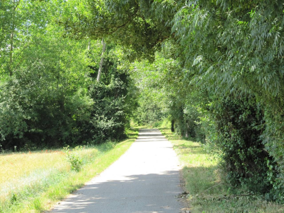 La piste cyclable
