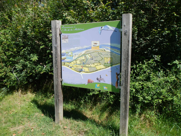L'île de la Métairie