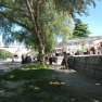 DSCN2051
