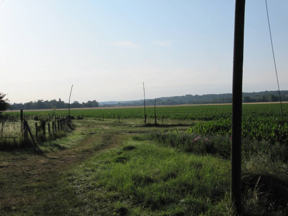 Un peu avant Savonnières