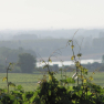 Coteaux de Saumur