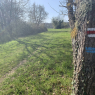 Vouvray - Amboise A/R (GR3 à pied)