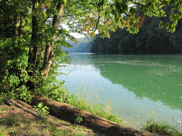 Le Rhin! Que demander de plus?