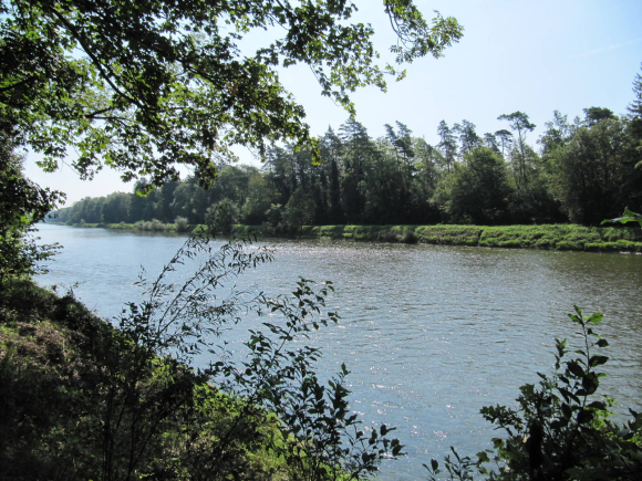 Déjeuner au bord du Rhin