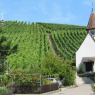 07-08-2009 (Bad Zurzach - Wangen), 12ème jour