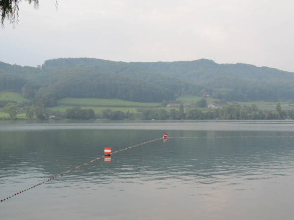 Lac de Constance