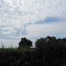 31-07-2009 (Cercy-la-Tour - Digoin), 5ème jour