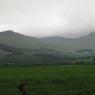 01-06-2012 (Mountshannon - Lisvarrinane (Glen of Aherlow)), 15ème jour