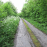 02-06-2012 (Lisvarrinane - Clogheen), 16ème jour