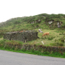 21-05-2012 (Bantry - Lauragh), 4ème jour