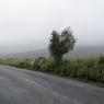 22-05-2012 (Lauragh - Caherdaniel), 5ème jour