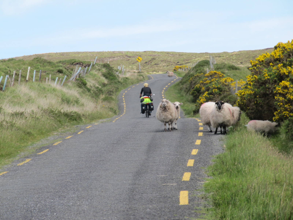 Allez, on s'y remet!