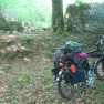 Currahchase forest park. Pas terrible pour un bivouac en fin de compte. Je me ravise.