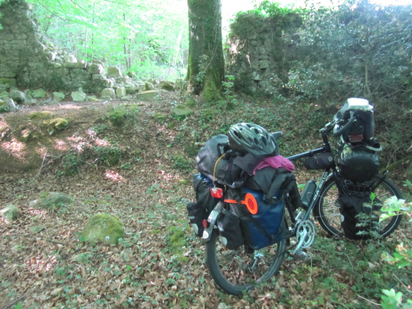 Currahchase forest park. Pas terrible pour un bivouac en fin de compte. Je me ravise.