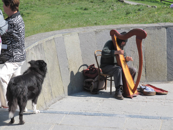 Harpiste sur les falaises