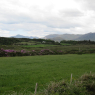 28-05-2012 (Galway - Tully (Renvyle)), 11ème jour