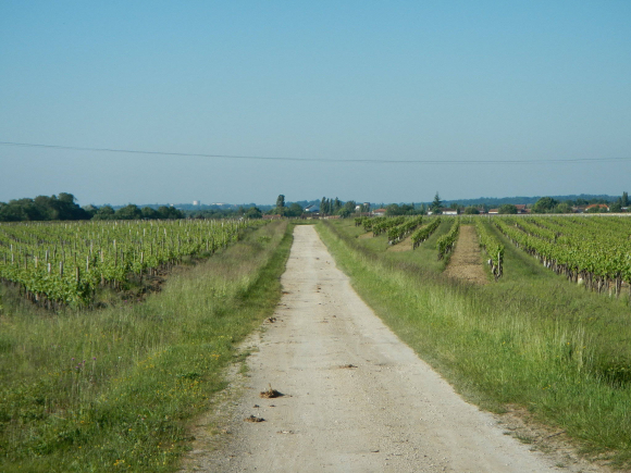 DSCN1275