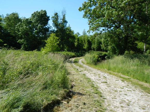 DSCN1279