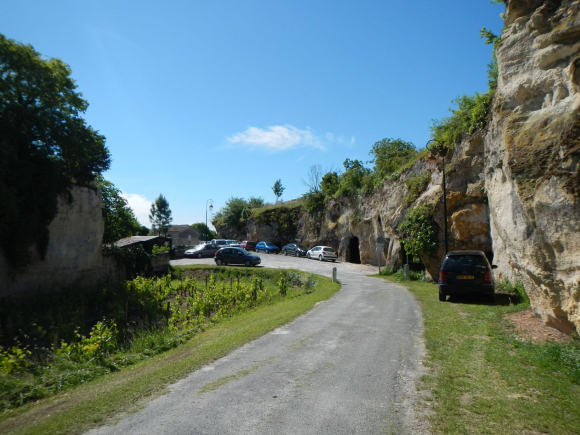 DSCN1318
