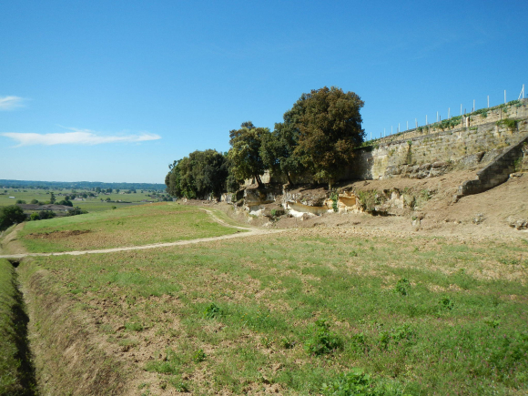 DSCN1320