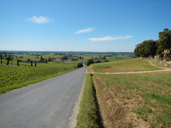 DSCN1321
