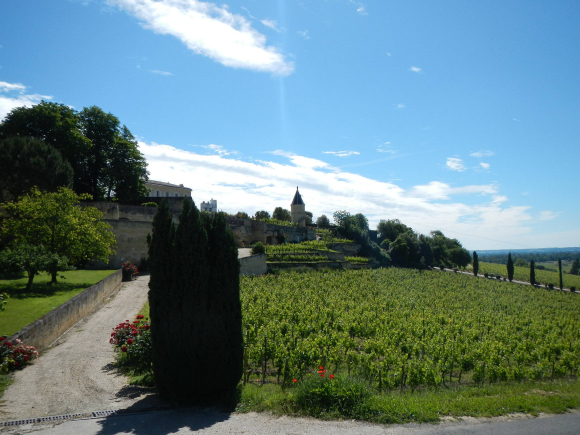 DSCN1322