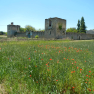 DSCN1338