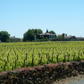 Le sauternais