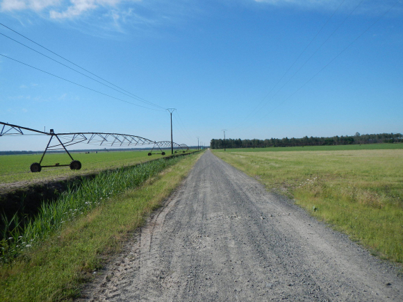 DSCN1359