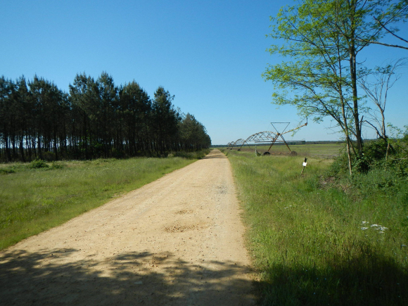 DSCN1360