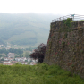 DSCN1447