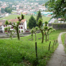 DSCN1455