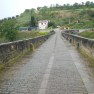 DSCN1487