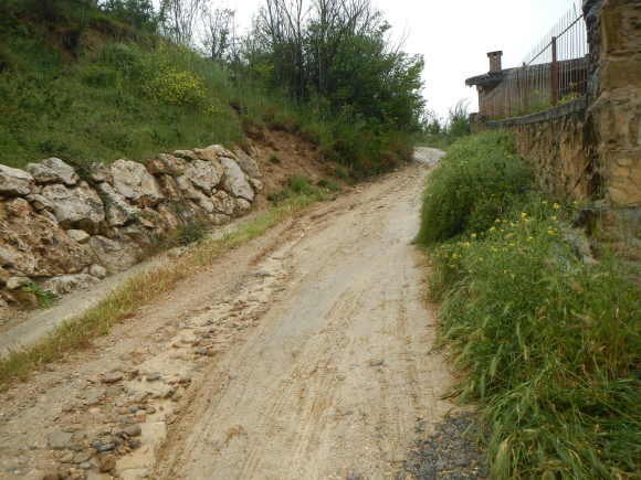 DSCN1489