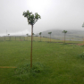 DSCN1494