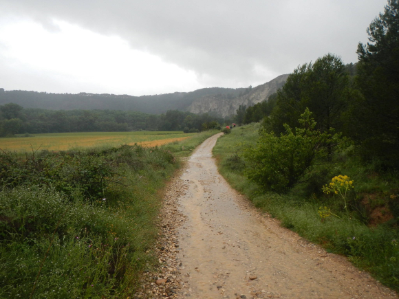 DSCN1497