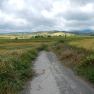 DSCN1509