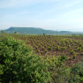 DSCN1531