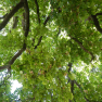 DSCN1558