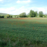 DSCN1581
