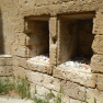 DSCN1591