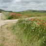 DSCN1596