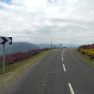 DSCN1738